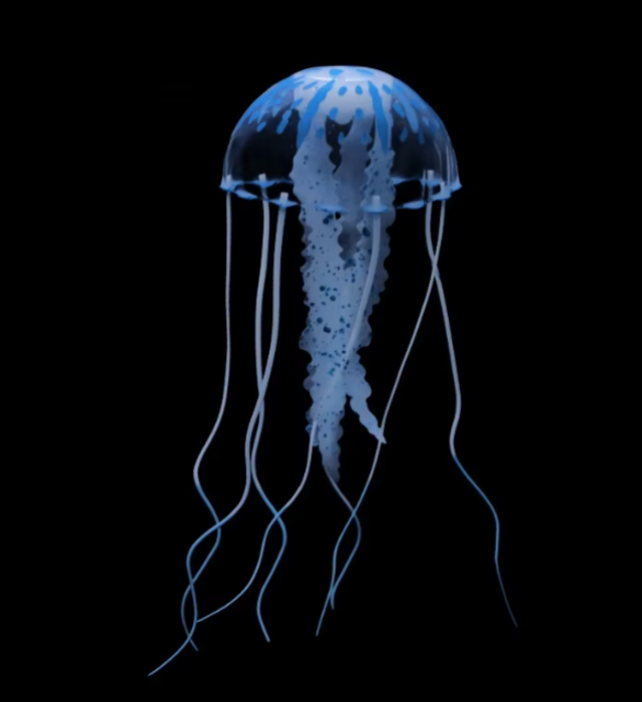 Captura de pantalla 2026-06-15 123100